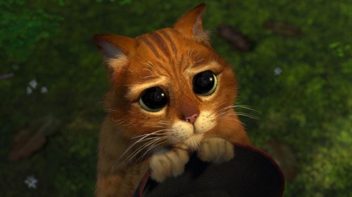 Shrek2-disneyscreencaps.com-4359