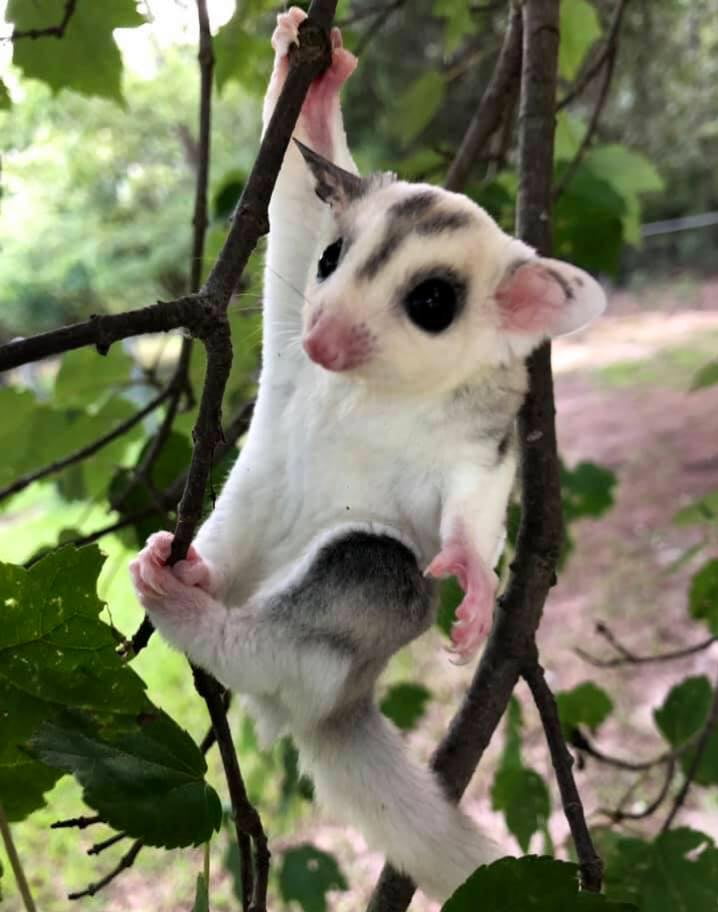 comment_1kLbpperjsM6hZEe9kra3tVkDPHJpIE2