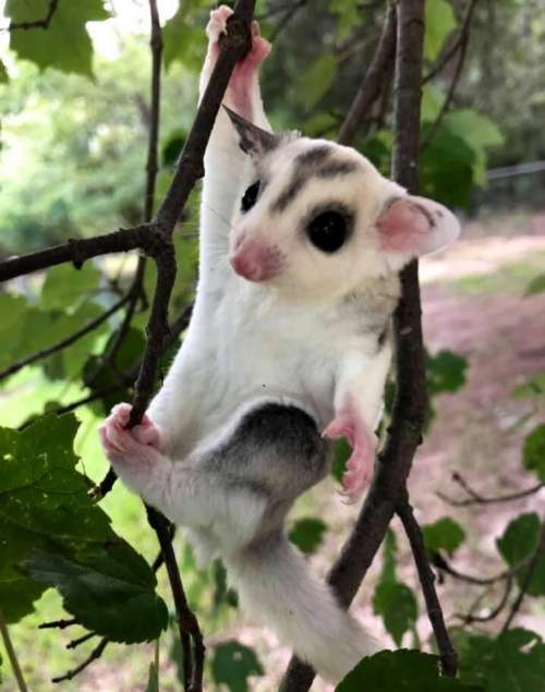 comment_1kLbpperjsM6hZEe9kra3tVkDPHJpIE2